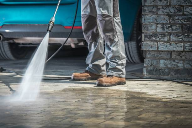 Best Pre-Holiday Cleaning  in Clifton Heights, PA