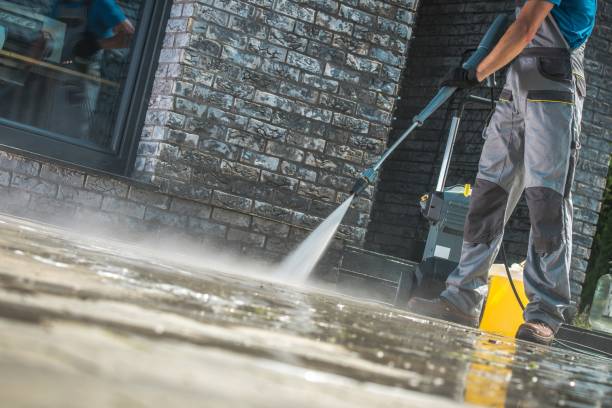 Best Roof Washing  in Clifton Heights, PA